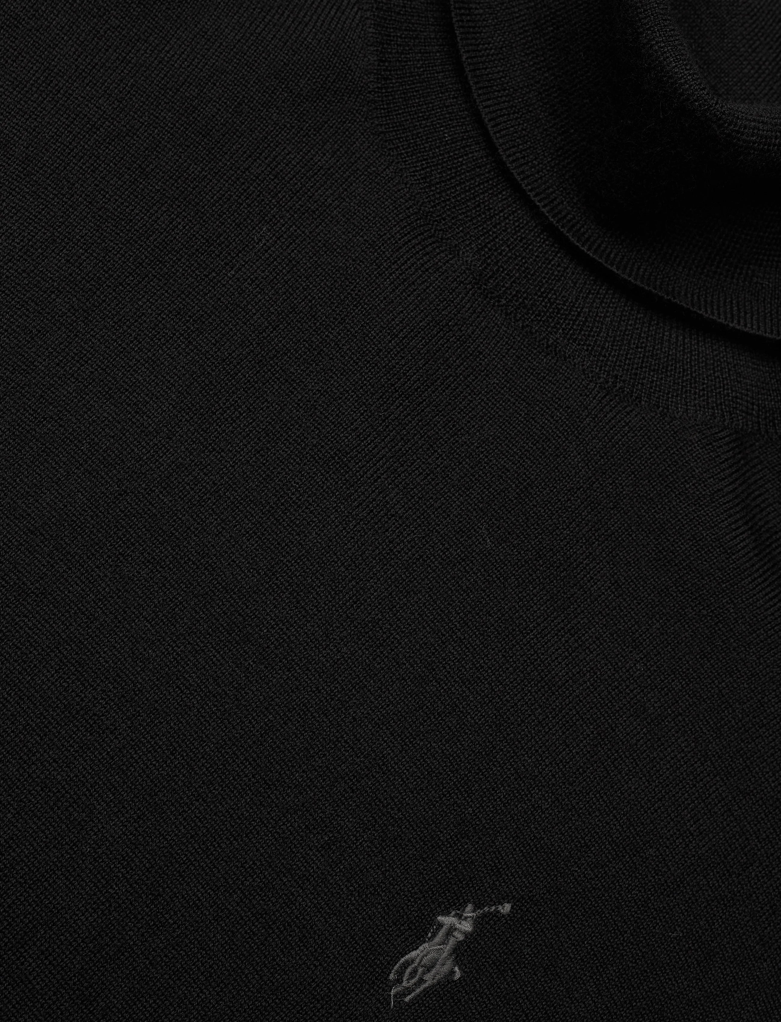 Polo Ralph Lauren Washable Wool Turtleneck Sweater