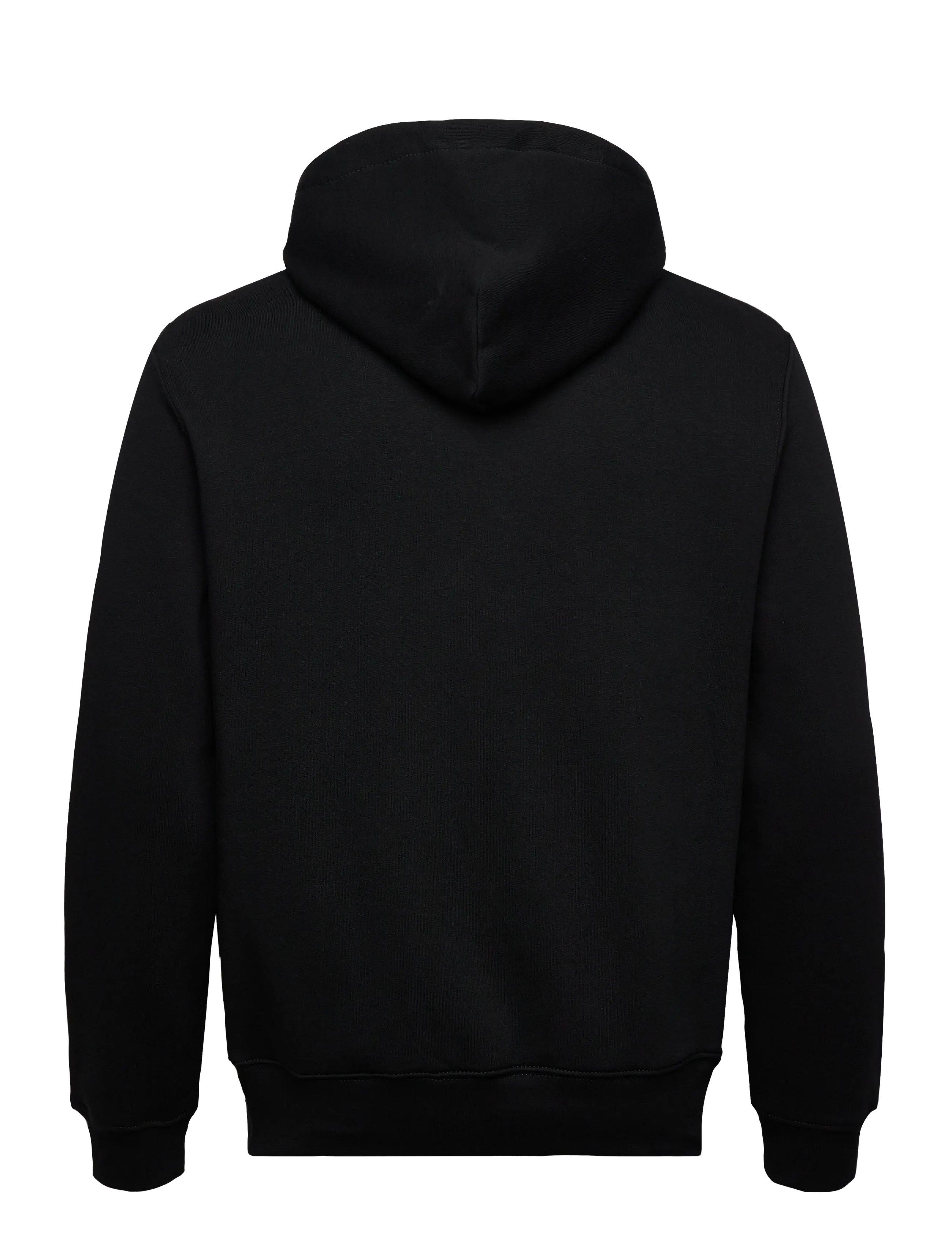 Polo Ralph Lauren Polo Bear Fleece Hoodie